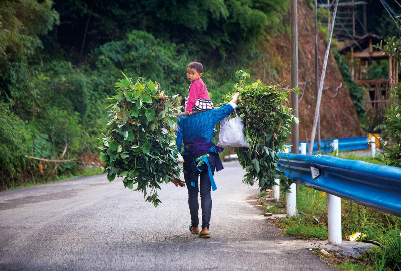 1643181345865305.png image.png