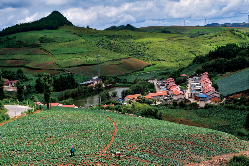 1643181367603527.png image.png