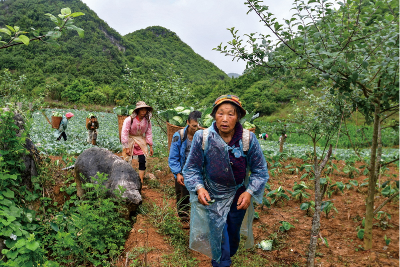 1643181377778579.png image.png