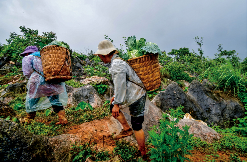 1643181402406689.png image.png