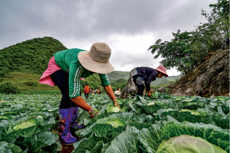 1643181420763131.png image.png