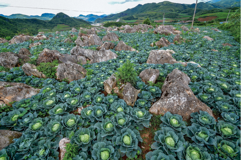 1643181431415928.png image.png