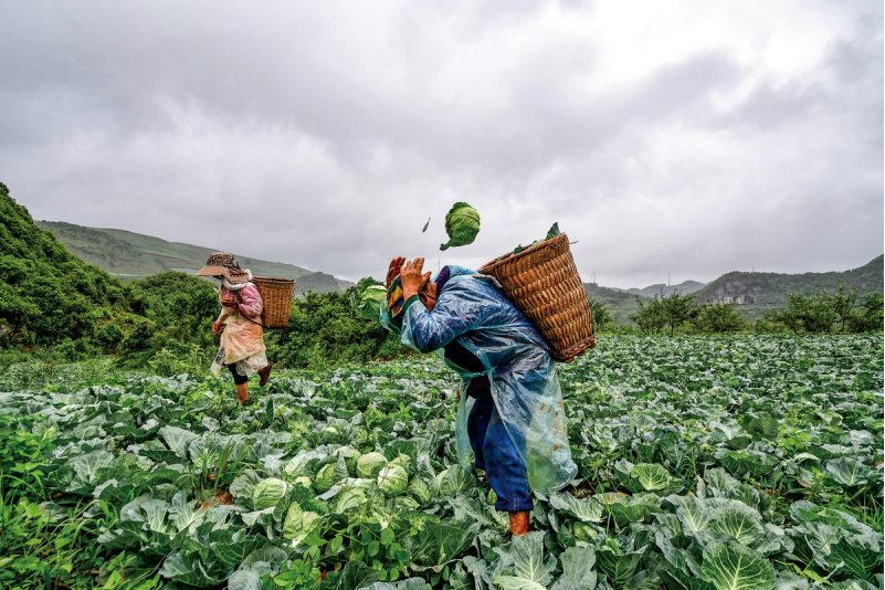 1643181443536344.png image.png