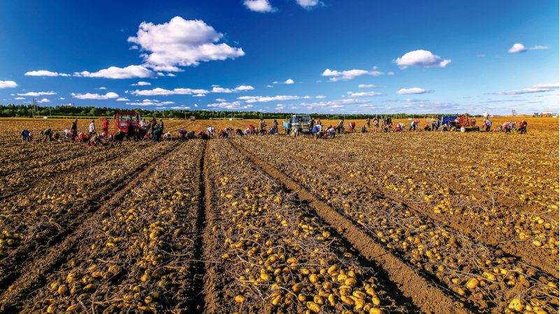 1643181466763280.png image.png