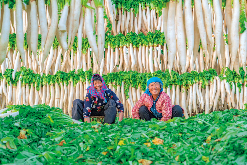 1643181478318112.png image.png