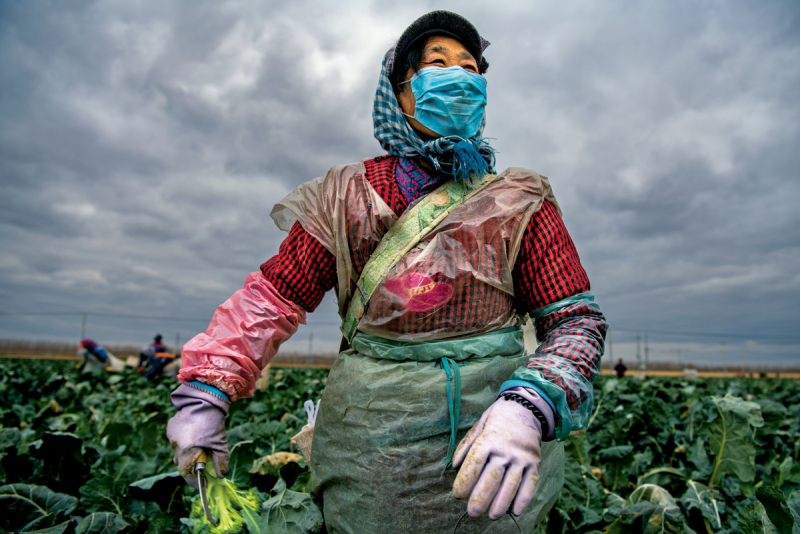 1643181498727845.png image.png