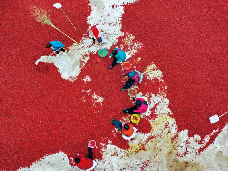 1643181539926021.png image.png