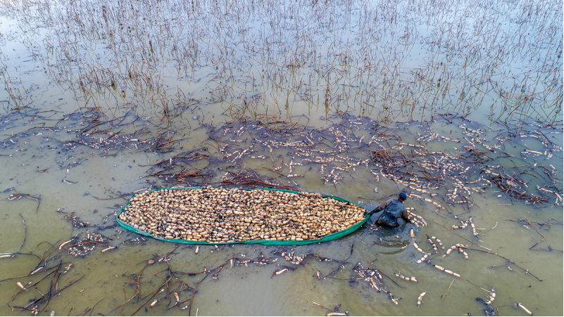 1643181556630018.png image.png