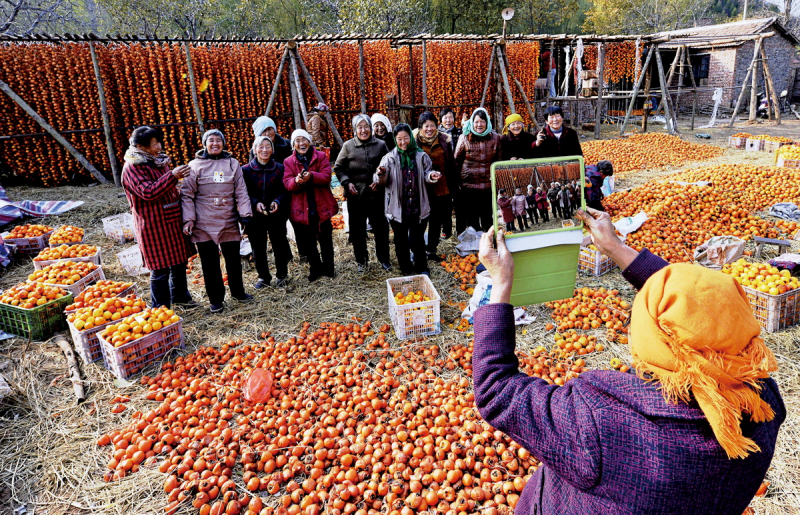 1643181573457268.png image.png