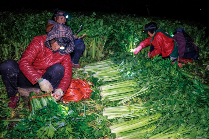 1643181595630559.png image.png