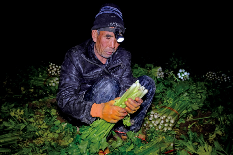 1643181624794959.png image.png