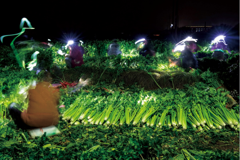 1643181637383075.png image.png