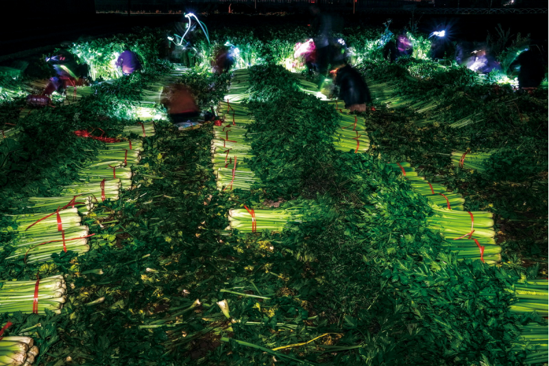 1643181673327332.png image.png