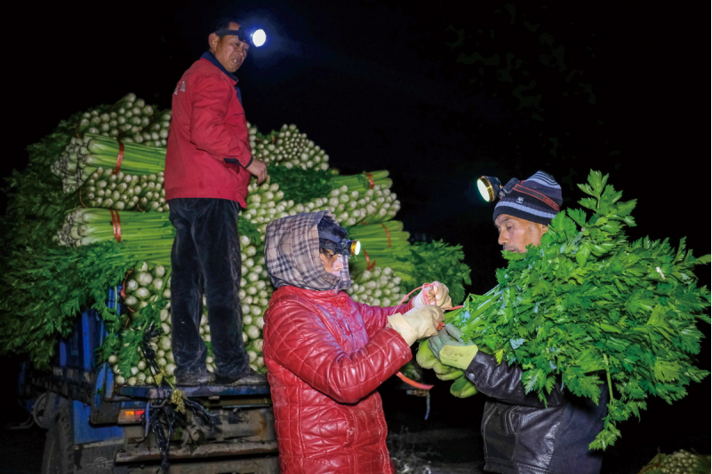 1643181683120318.png image.png