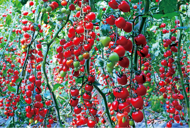 1643181726410676.png image.png