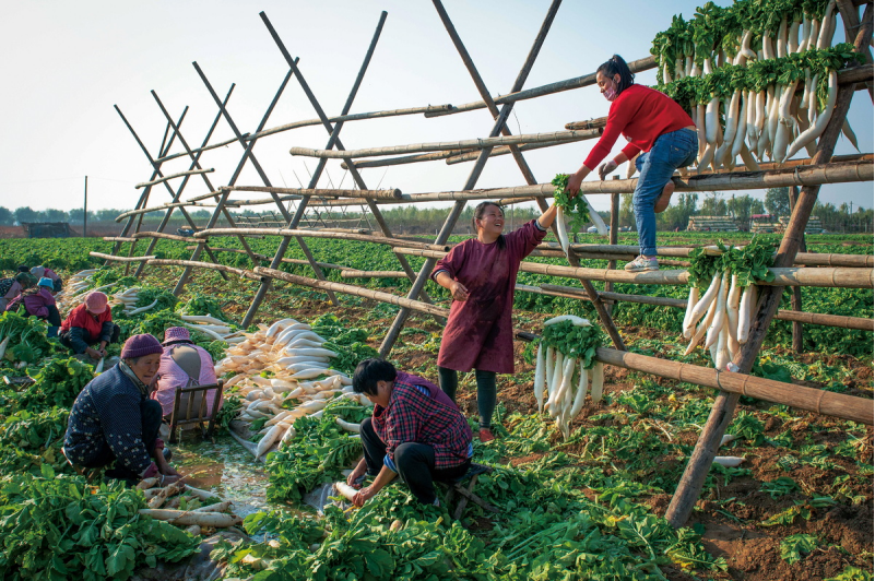 1643181739367805.png image.png