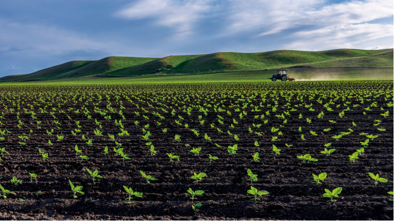 1643181768866163.png image.png