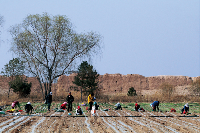 1643181846594898.png image.png