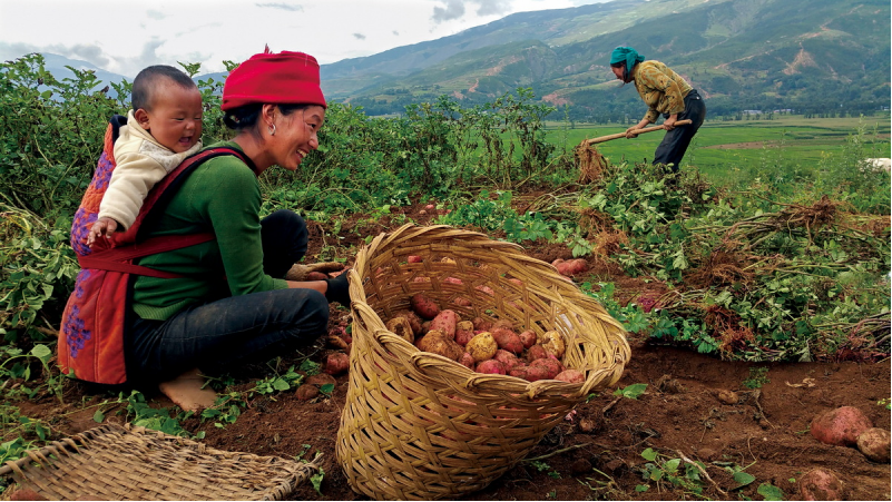 1643181863295646.png image.png