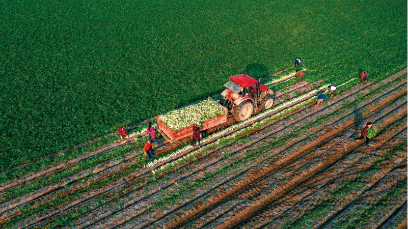 1643181880939058.png image.png