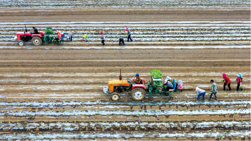 1643181919837981.png image.png