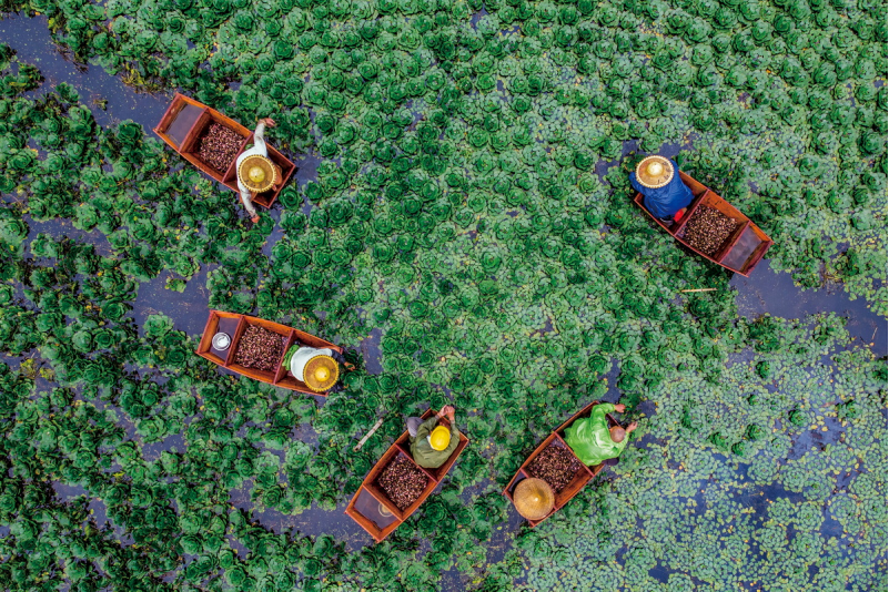 1643181931201498.png image.png