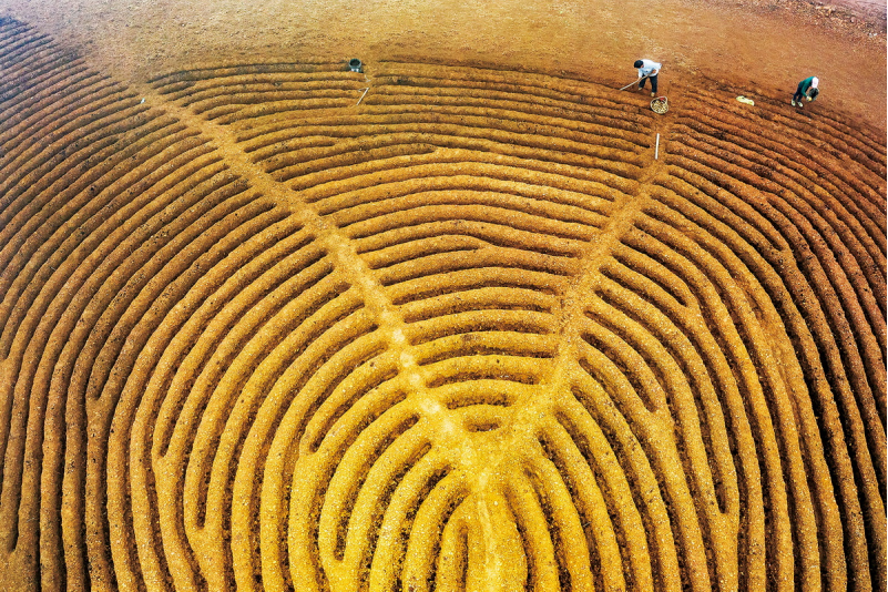 1643182043877128.png image.png