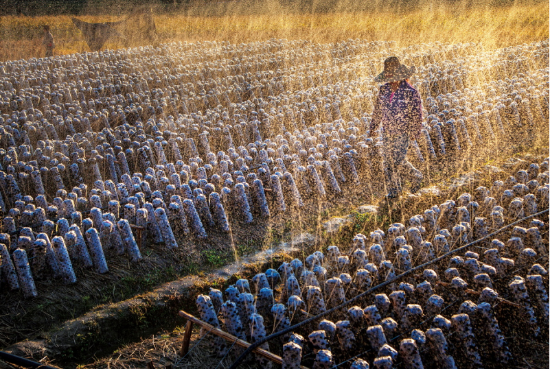 1643182055947405.png image.png