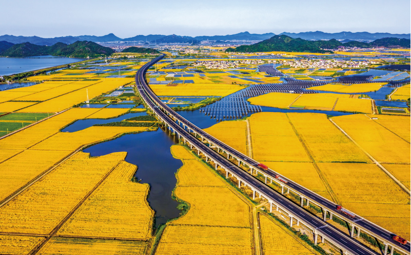 1643182067568911.png image.png