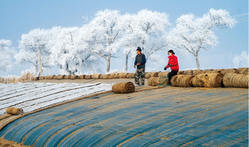 1643182077340762.png image.png