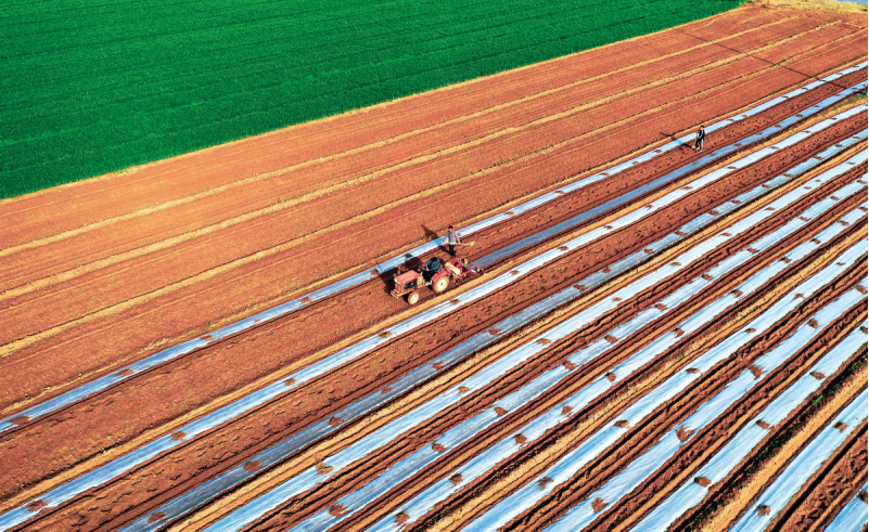 1643182094664742.png image.png