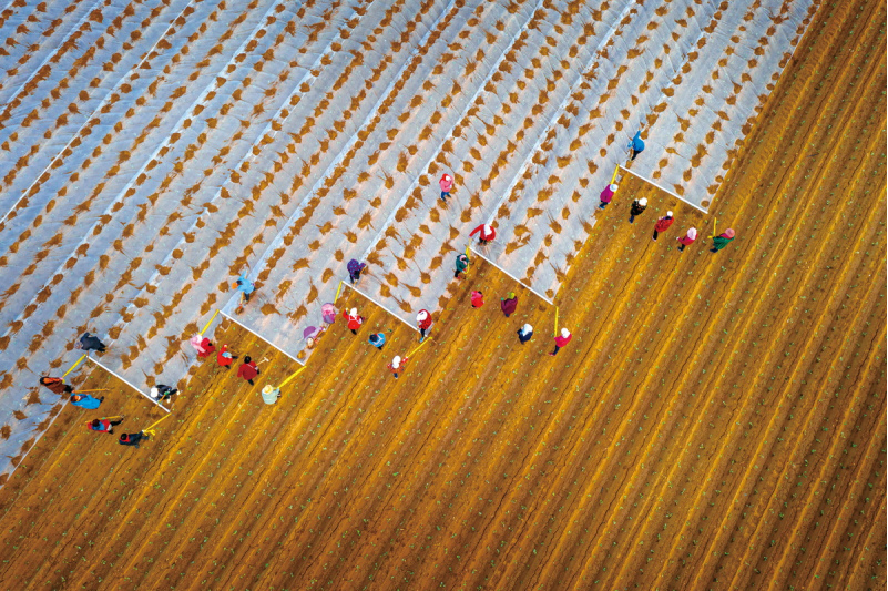 1643182132879816.png image.png