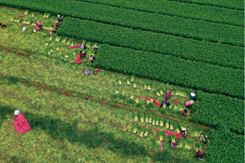 1643182139387538.png image.png