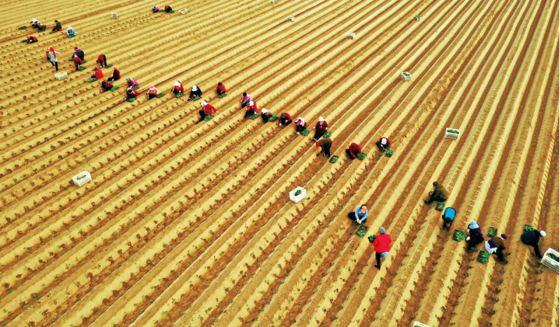 1643182145935099.png image.png