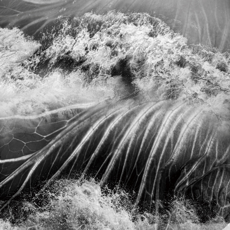 1643182188661966.png image.png