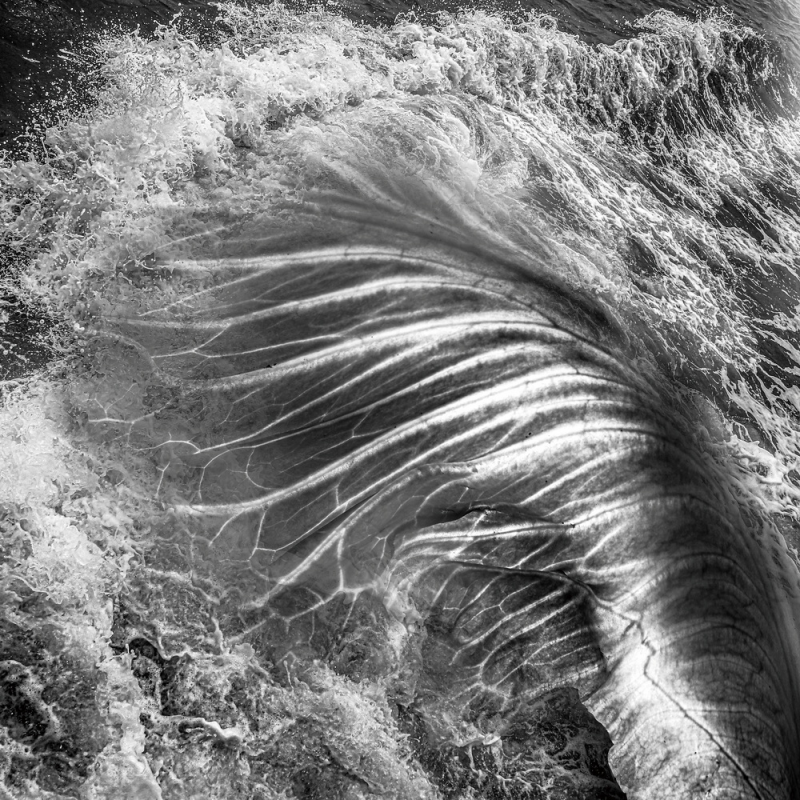 1643182197329831.png image.png