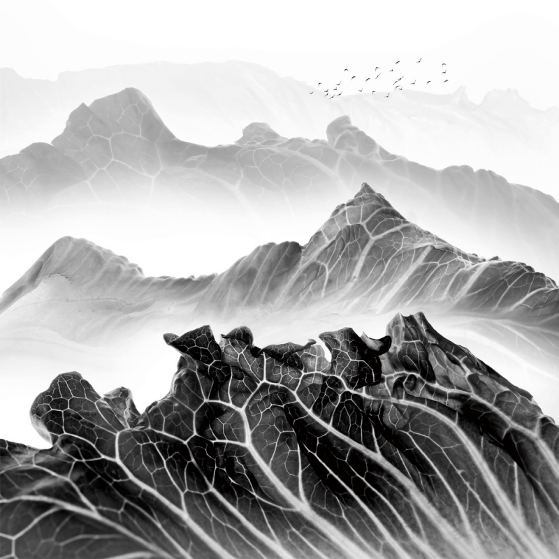 1643182204476833.png image.png