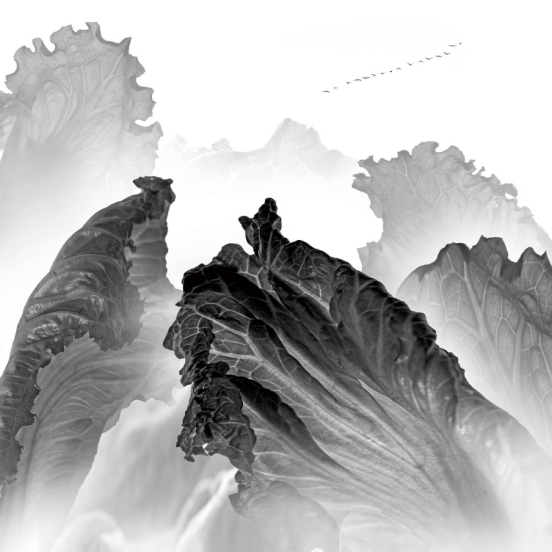 1643182213262366.png image.png