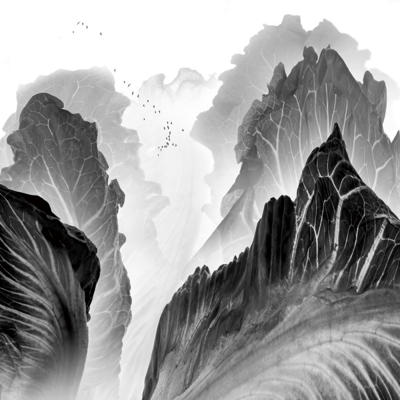 1643182219593988.png image.png