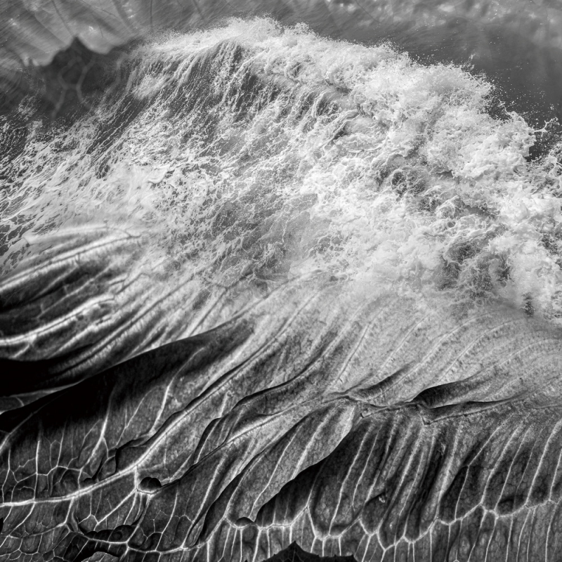 1643182225808429.png image.png