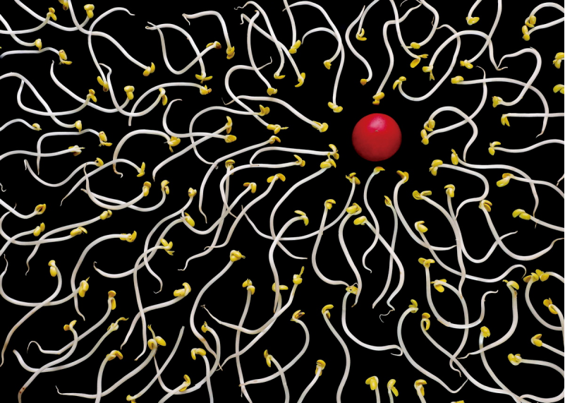 1643182290647634.png image.png