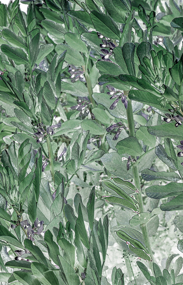 1643182344483699.png image.png