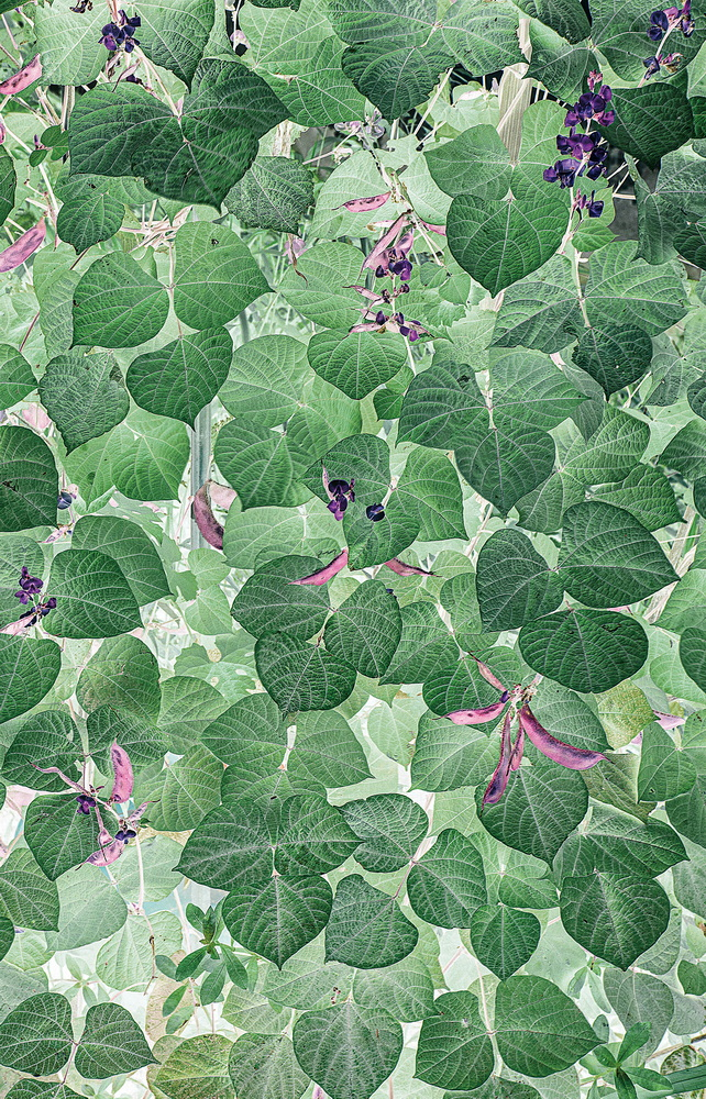 1643182352476660.png image.png