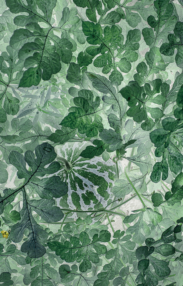 1643182360359253.png image.png