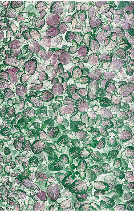 1643182450643649.png image.png