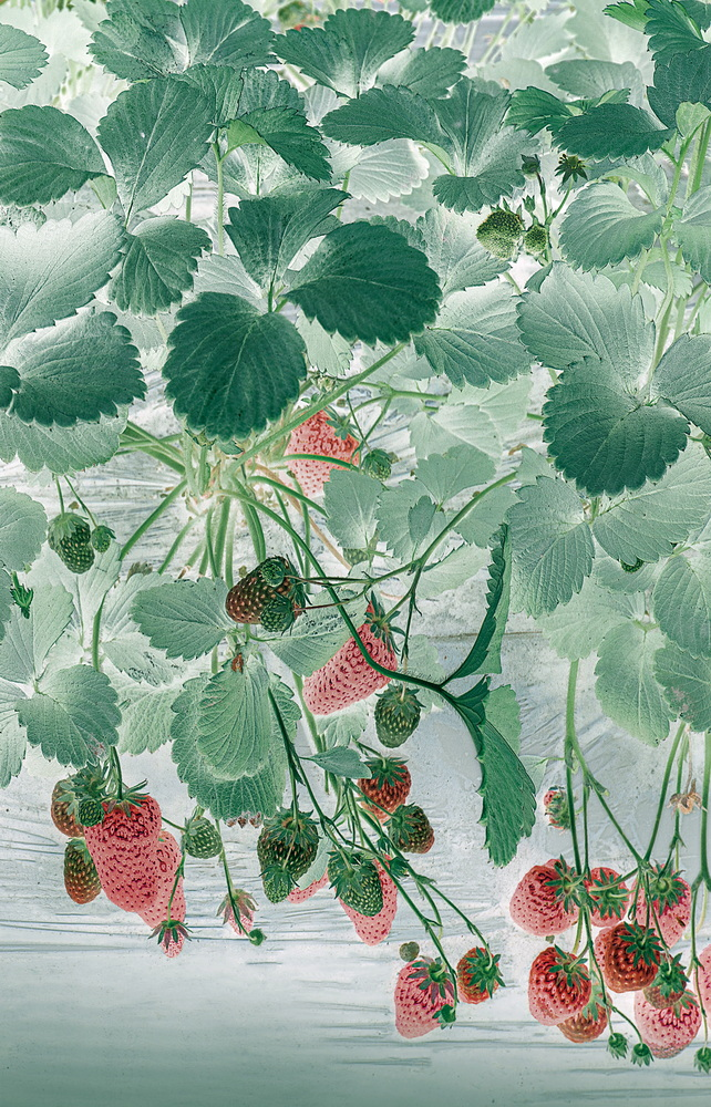 1643182504602399.png image.png