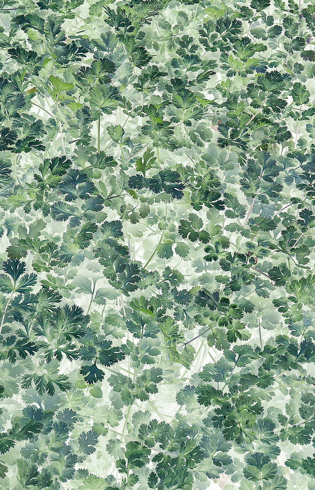 1643182533747610.png image.png