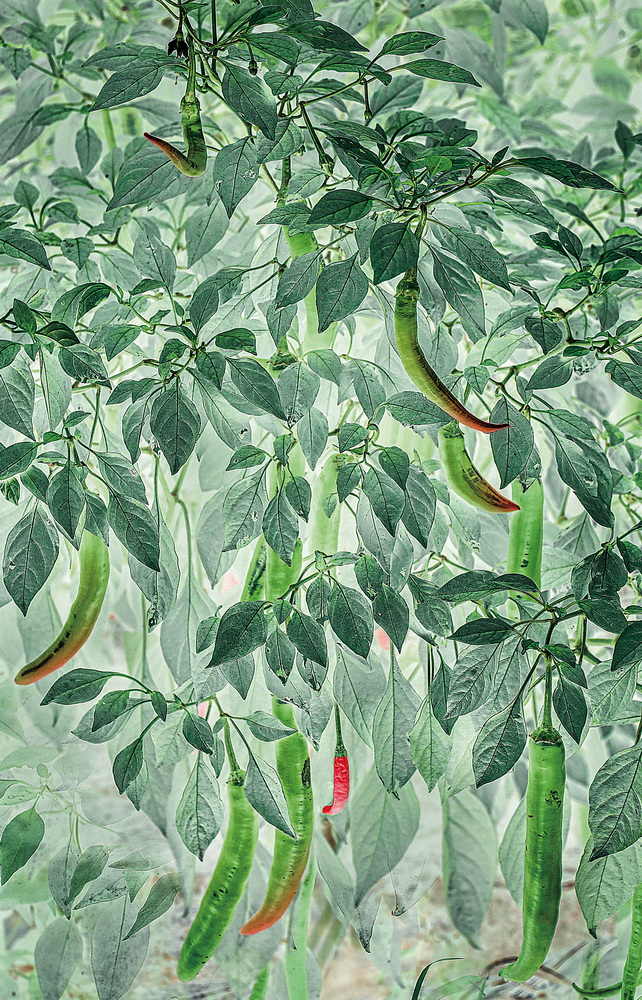 1643182541497894.png image.png