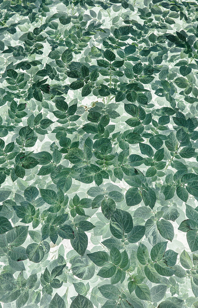 1643182546472514.png image.png