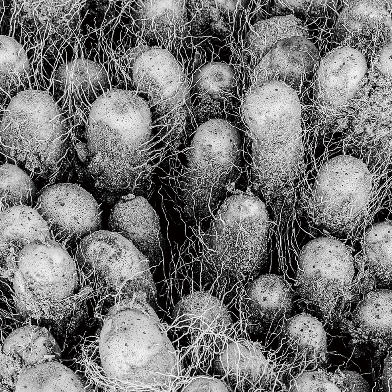 1643182583915509.png image.png